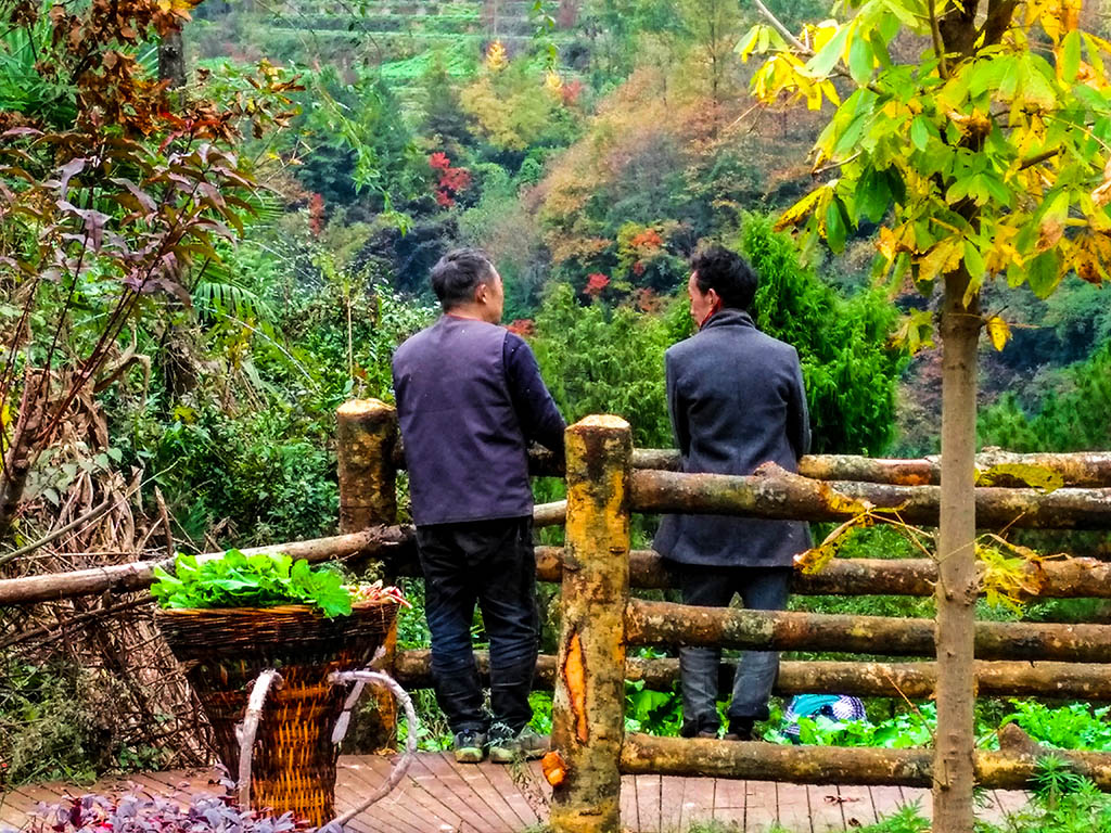 IMG_20181027_150142副本.jpg