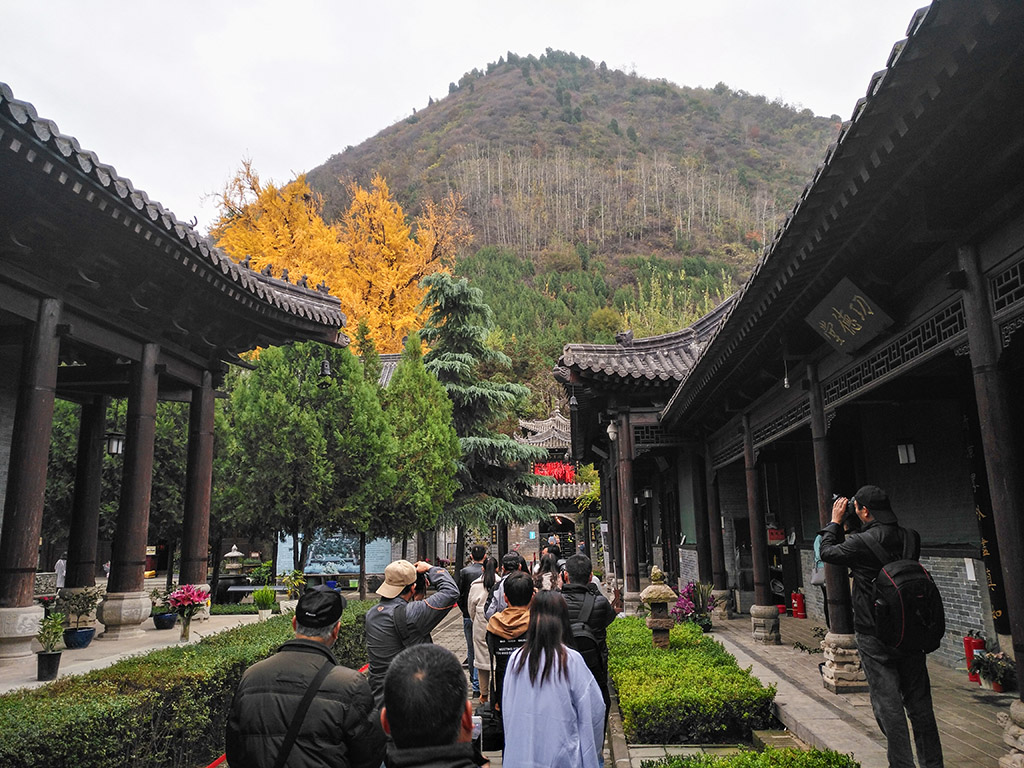 IMG_20181115_101752副本.jpg