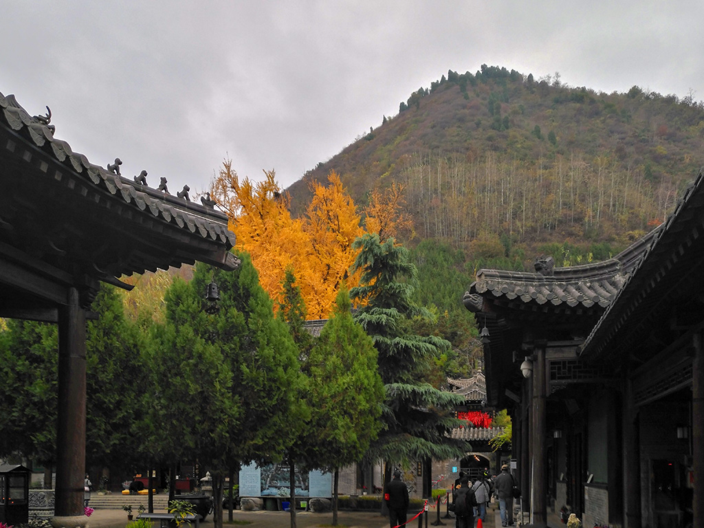 IMG_20181115_101814副本.jpg