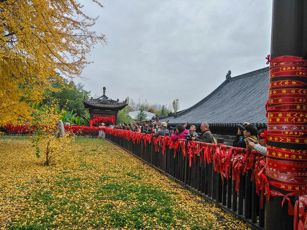 IMG_20181115_102916副本.jpg