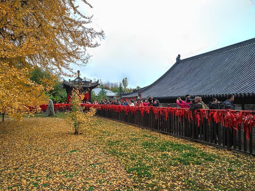 IMG_20181115_102946副本.jpg