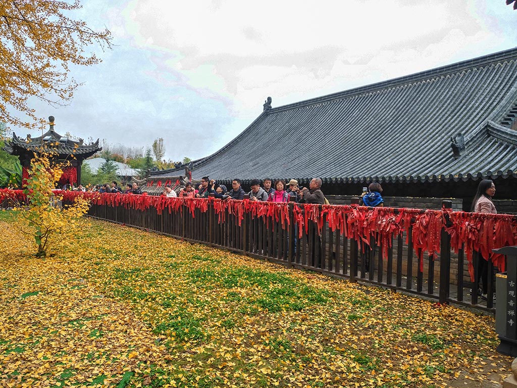 IMG_20181115_102937副本.jpg