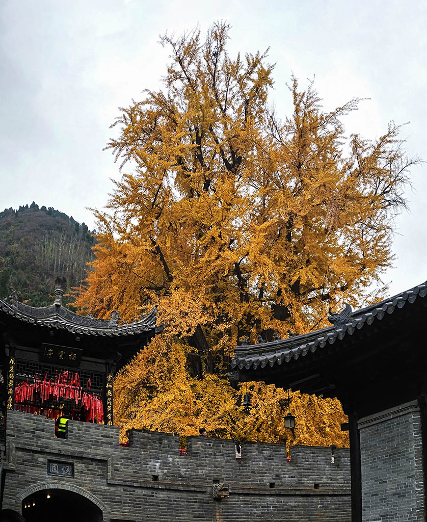 未标题_全景图1副本.jpg