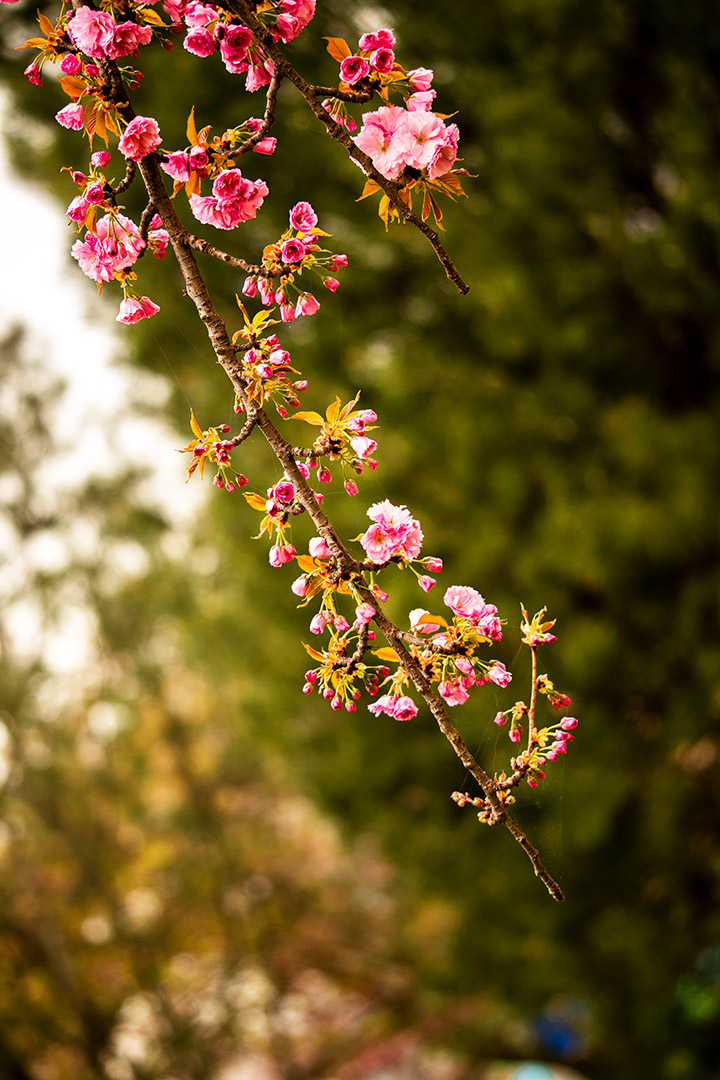 IMG_4342已发.jpg