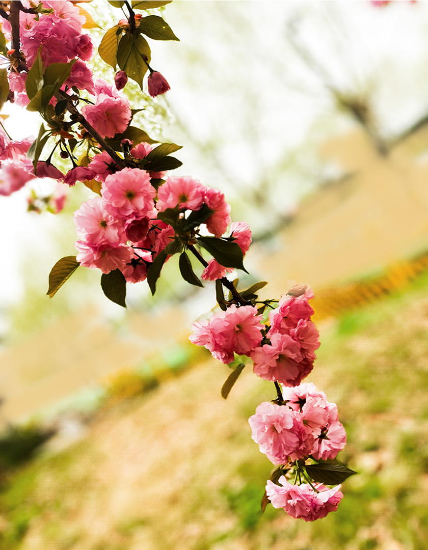 IMG_20220329_111159副本.jpg