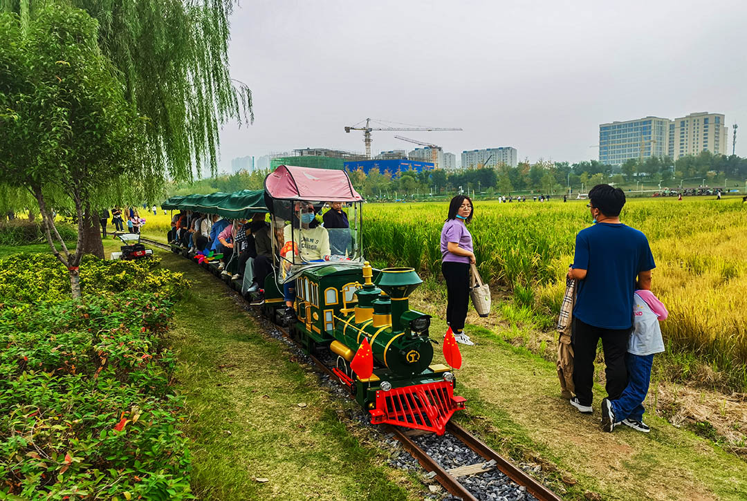 IMG_20221002_152548副本.jpg