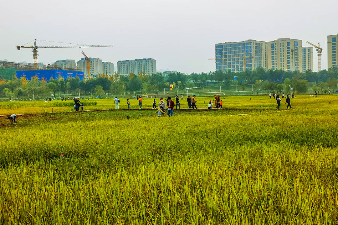 IMG_20221002_152734副本.jpg