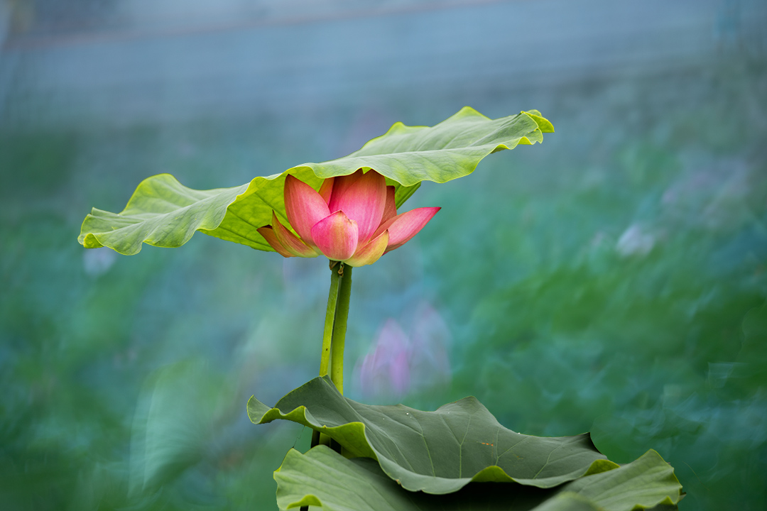 IMG_9734已发.jpg