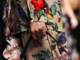 Dolce & Gabbana2016  | 