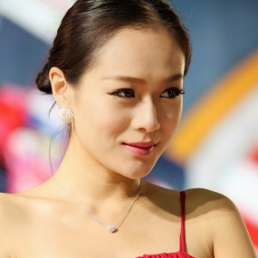 美丽的兰鸽