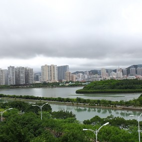 从窗子看风景