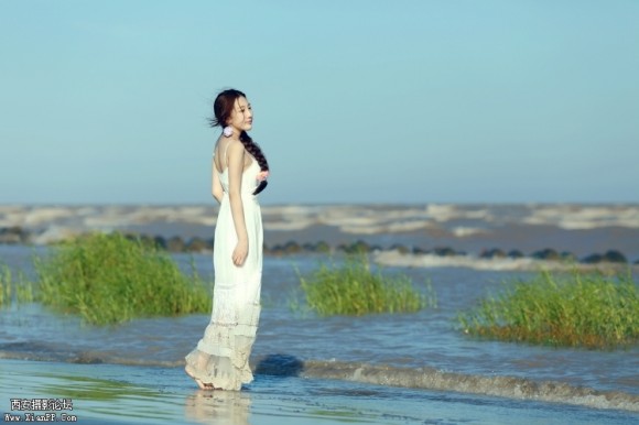 夏.海