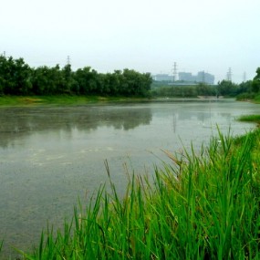 雁鸣实地随拍