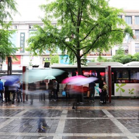 雨中情