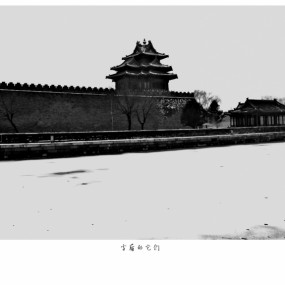 雪后的它们