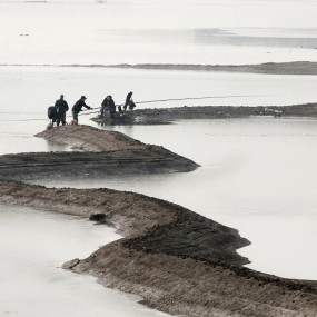 浐灞小景