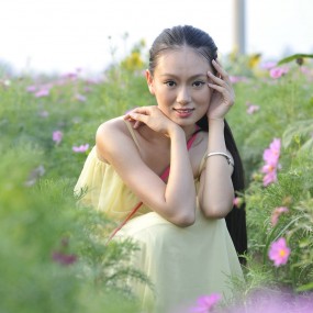 楼观台花意
