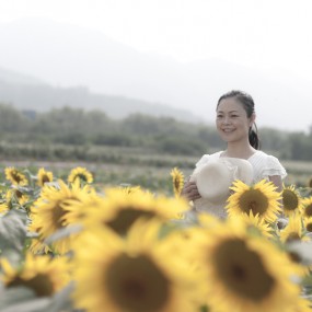 “向阳花”