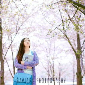 写给樱花の信