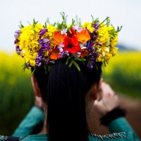 油菜花
