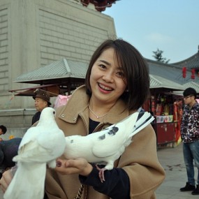 鸽通人性