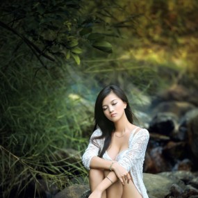 含羞草
