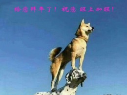 拜年了！