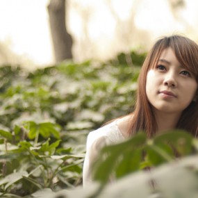 春晓（六）
