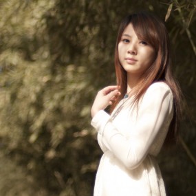 春晓（八）
