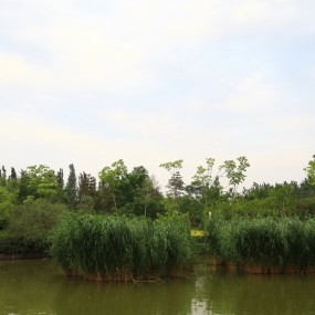 城市运动公园