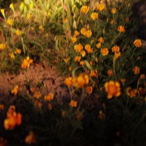 童年的夜色