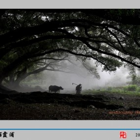 美丽的霞浦
