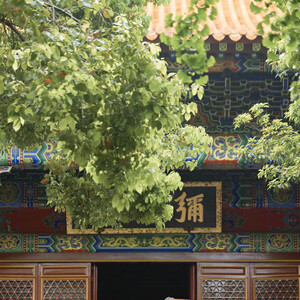 庭院深深