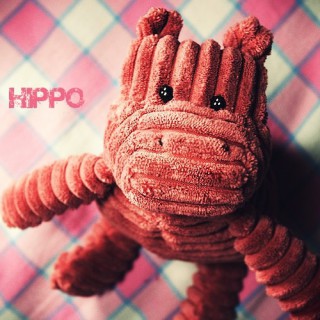 Mr.Hippo
