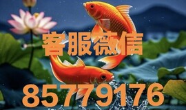薇Q同步 8949-3899 新盛游戏最新直属会员登录注册流程步骤