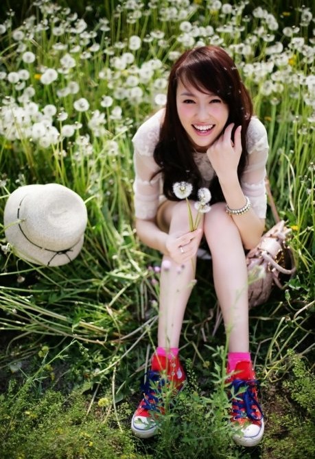 蒲公英.jpg