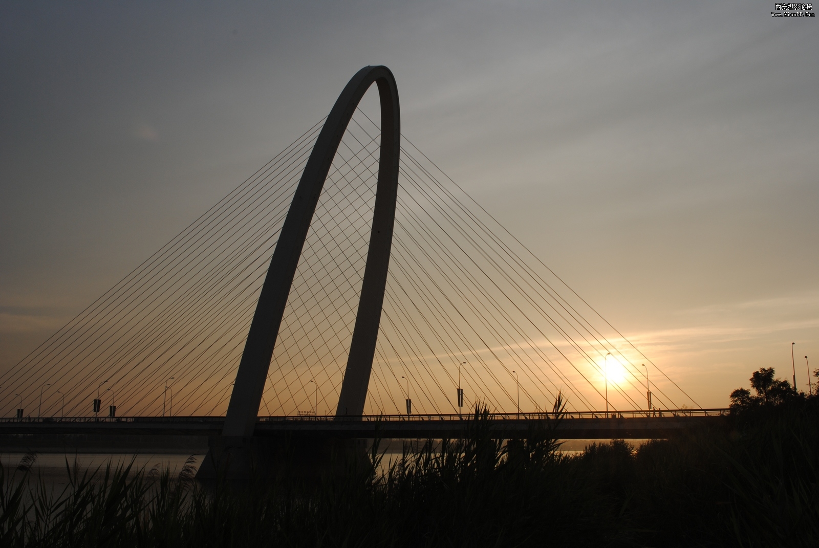 _20100717_024.jpg