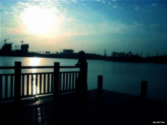 我在里面