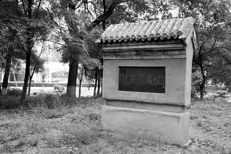 [器材] 佳能数码相机【佳能 50D】 [参数] 光圈: F/4.0 快门:1/20 焦距:24 毫米 感光度:200