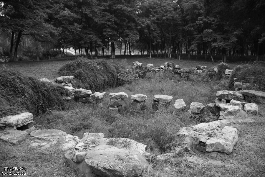 [器材] 佳能数码相机【佳能 50D】[参数] 光圈: F/4.0 快门:1/100 焦距:17 毫米 感光度:200