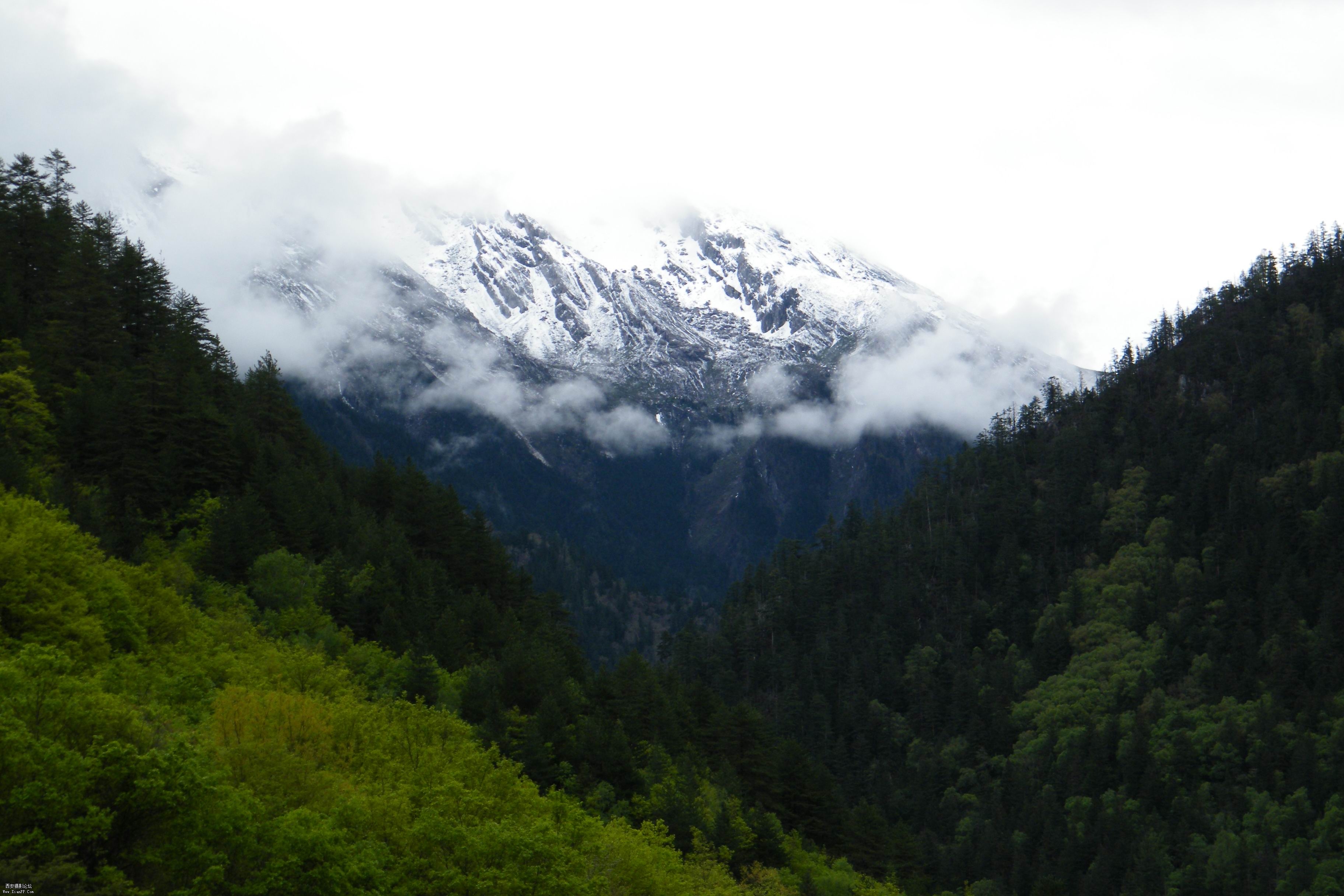 DSCF0677.jpg