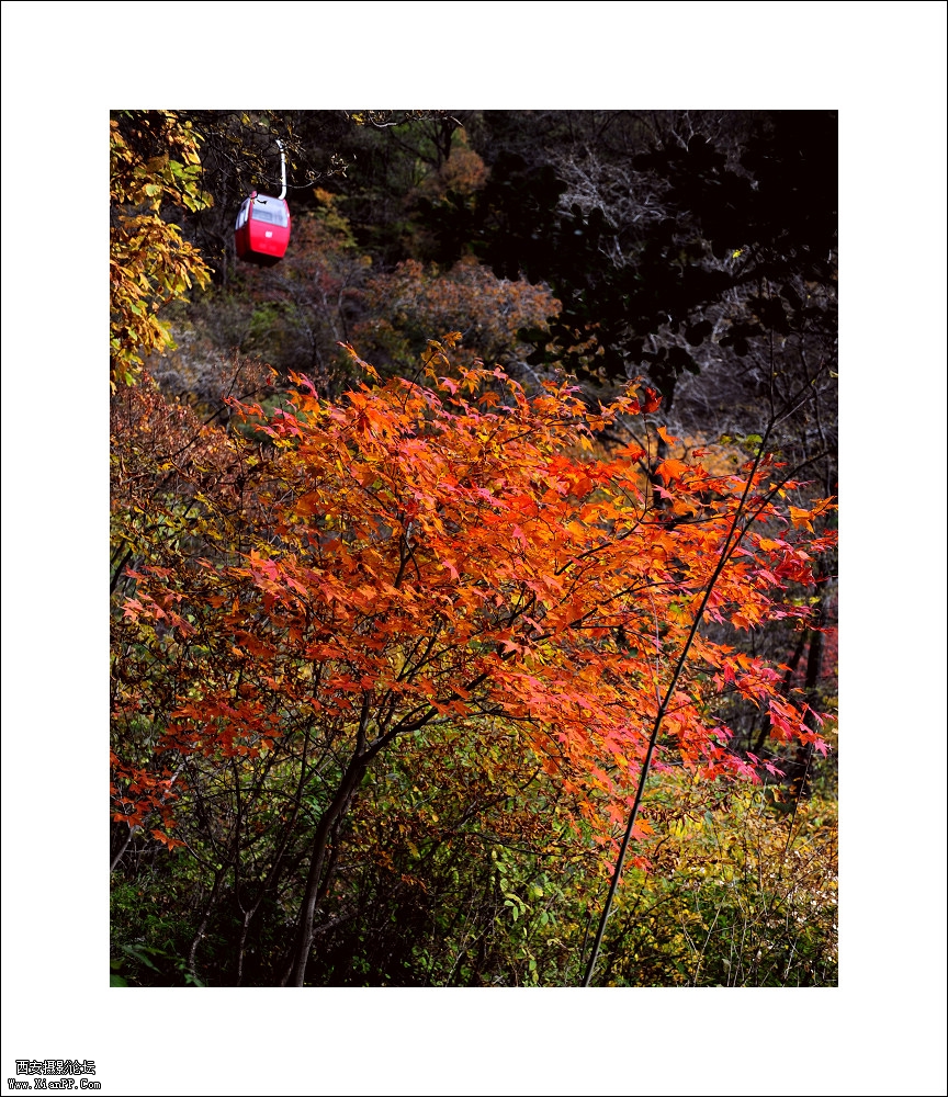 F/2.8 快门:1/1000 焦距:44 毫米 感光度:400