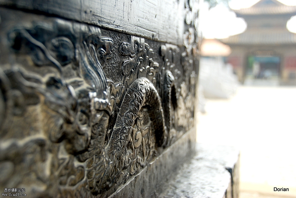 DSC_0626.JPG