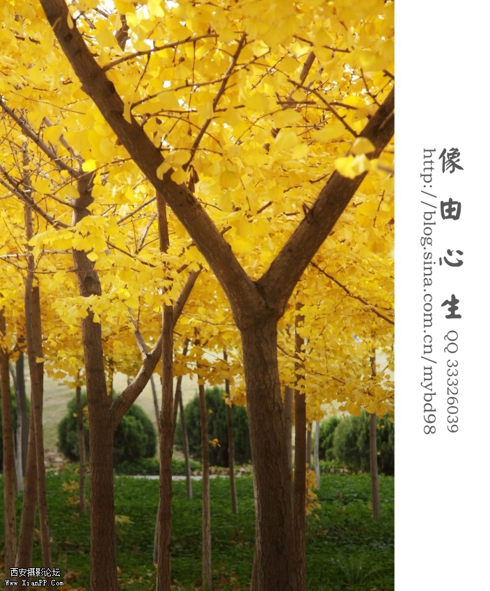 20111111随拍0008.jpg