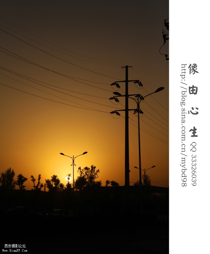 20111111随拍0009.jpg
