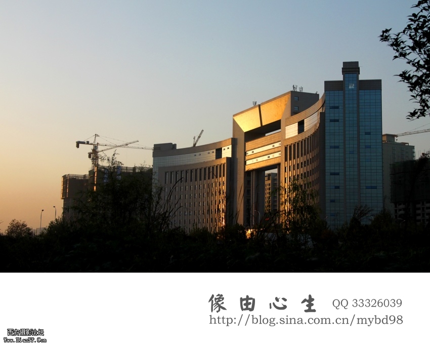 20111111随拍0012.jpg