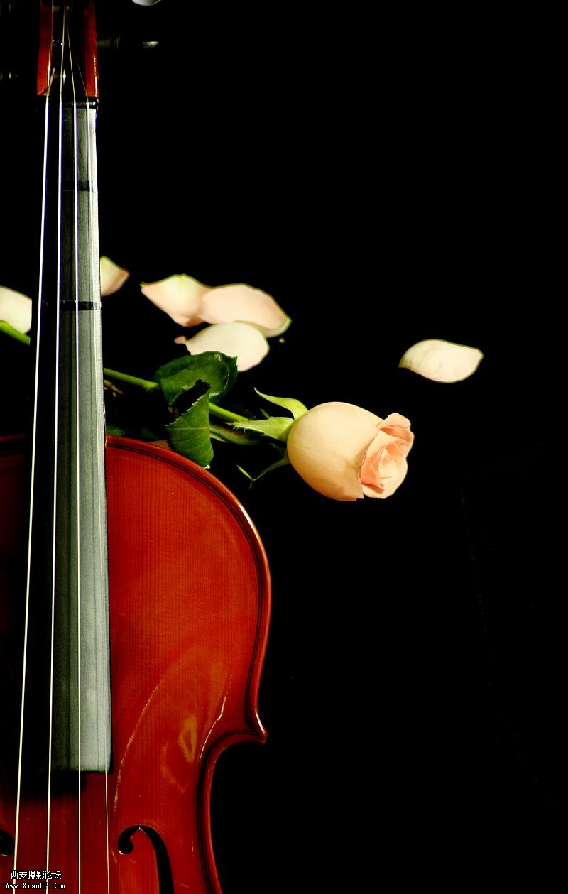 _MG_6623.jpg