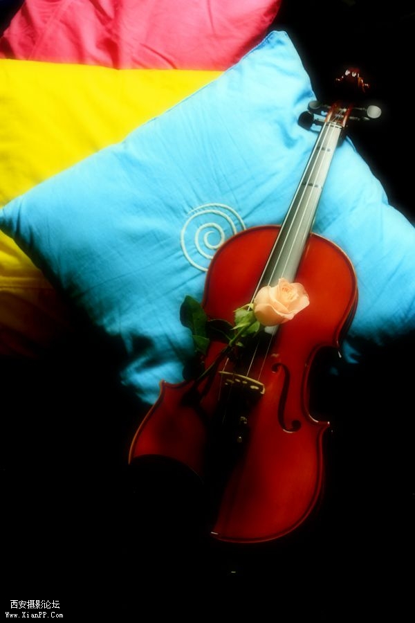 _MG_6619.jpg