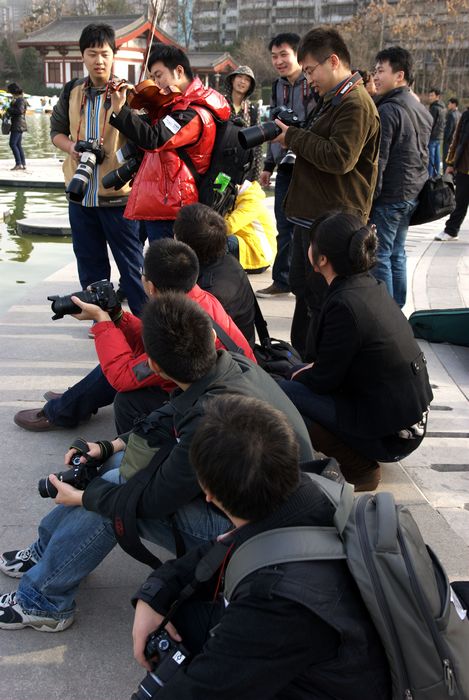 nEO_IMG_nEO_IMG_DSC_0086.jpg