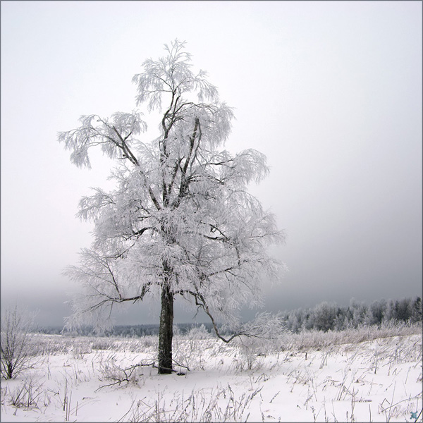 2_201012011515223HVzd.jpg